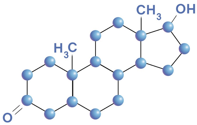 Химическая структура анаболических андрогенных стероидов