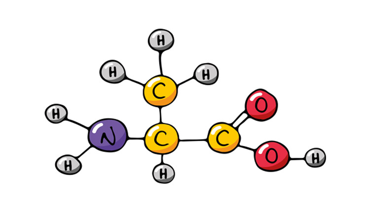 Аминокислотные комплексы
