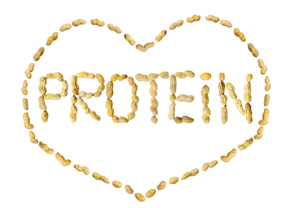 протеин польза