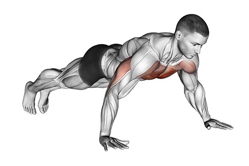 Отжимания широким хватом: какие мышцы работают?
