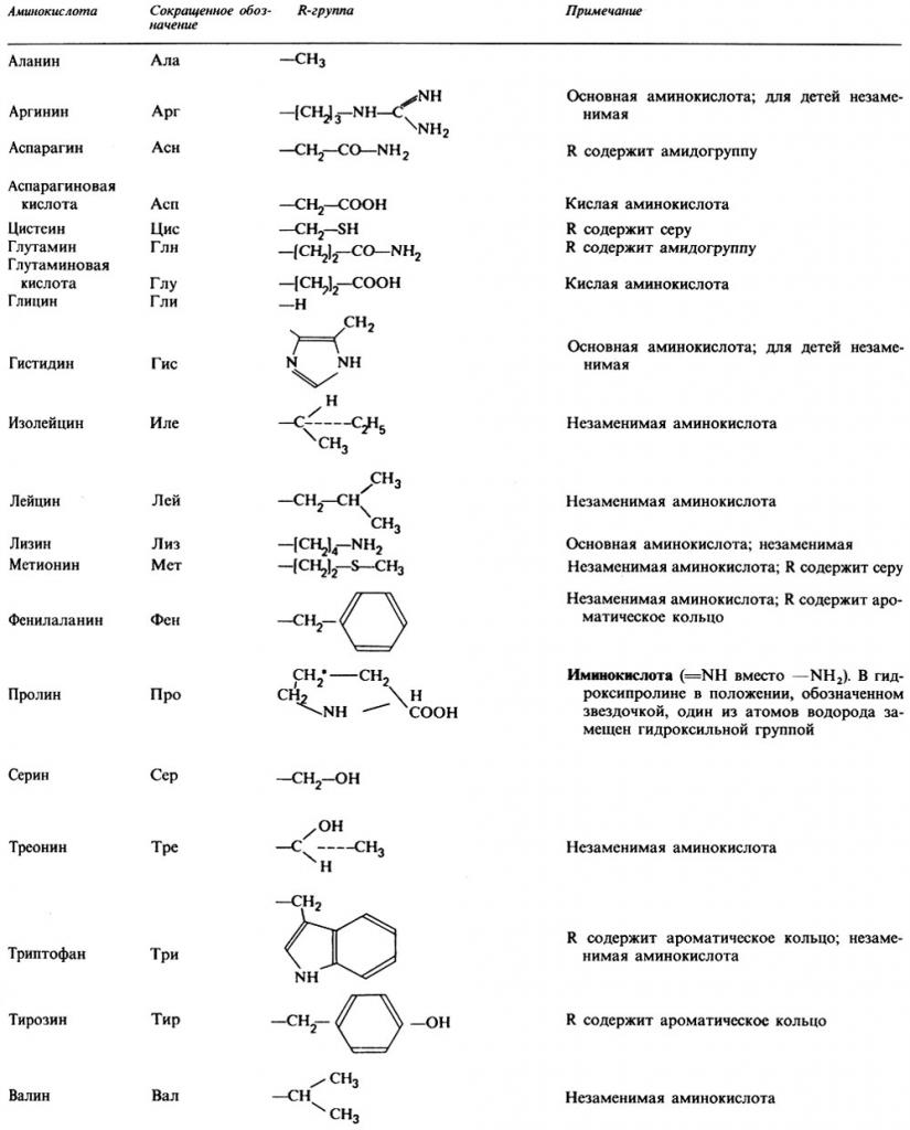 Таблица 20 аминокислот
