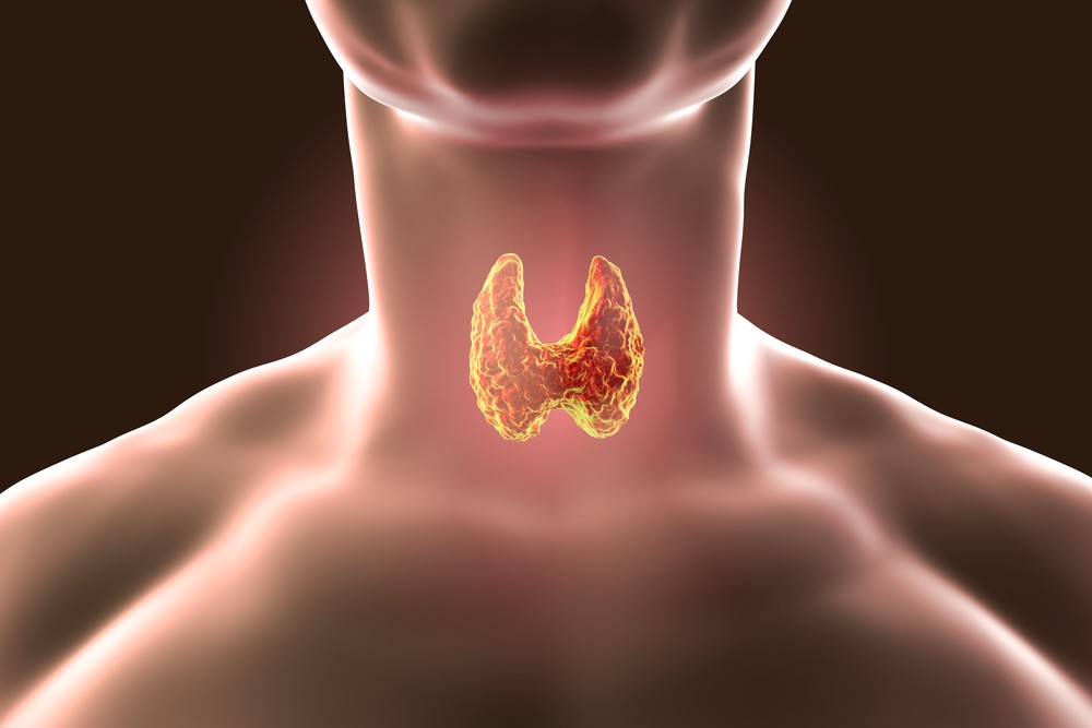 Тиролиберин влияет на щитовидную железу
