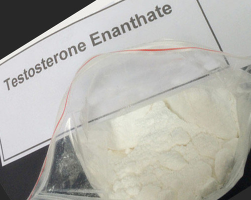 Тестостерон энантат в виде порошка