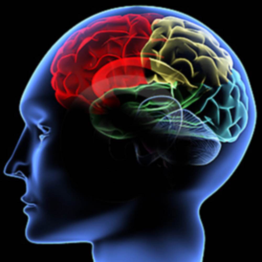 Музыка для улучшения мозга и памяти. Мозг память. Социальный мозг. Улучшение памяти картинки. Карта памяти мозга.