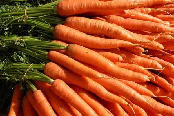 содержание в моркови