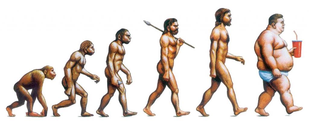 Эволюция жира